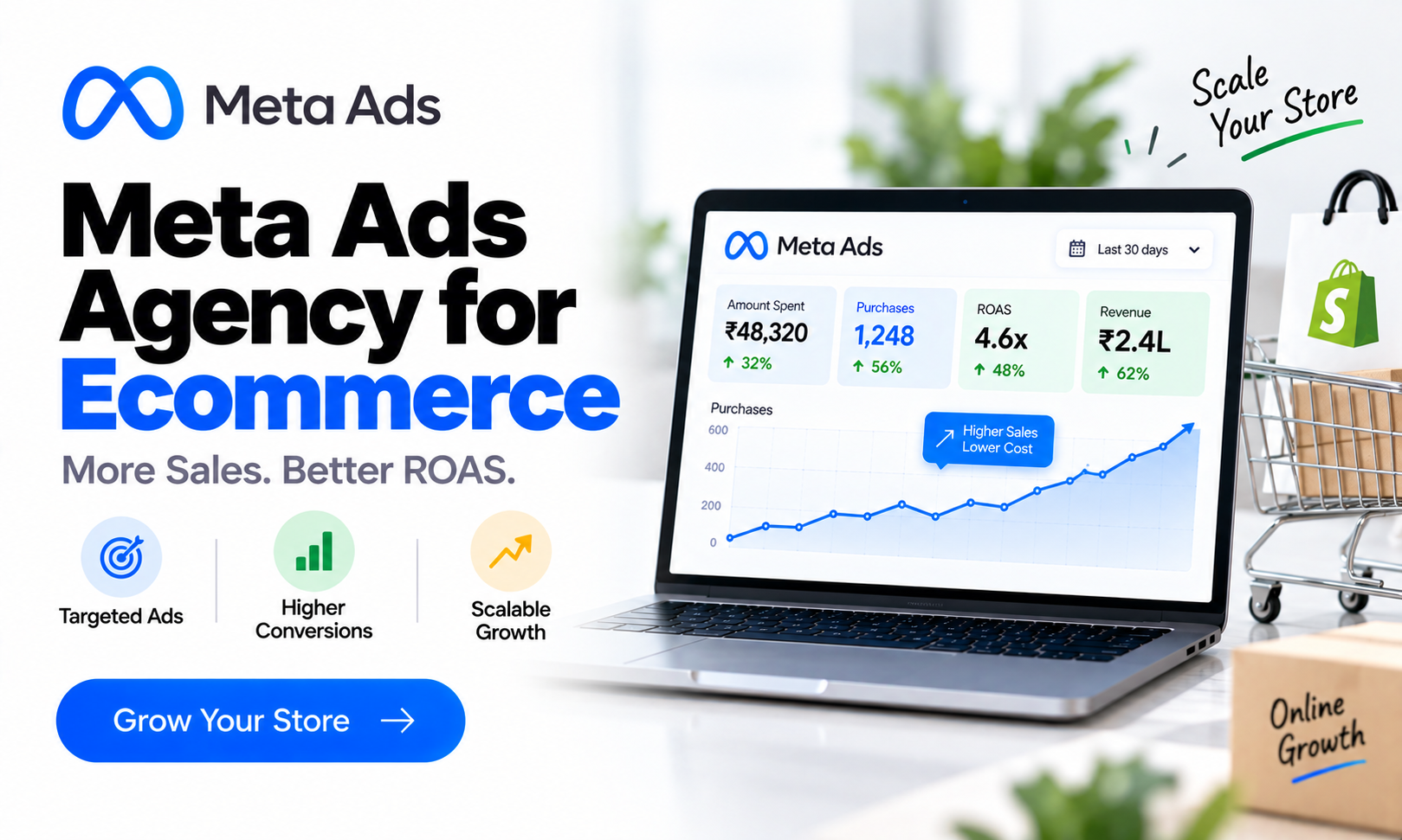 Meta Ads Agency for Ecommerce