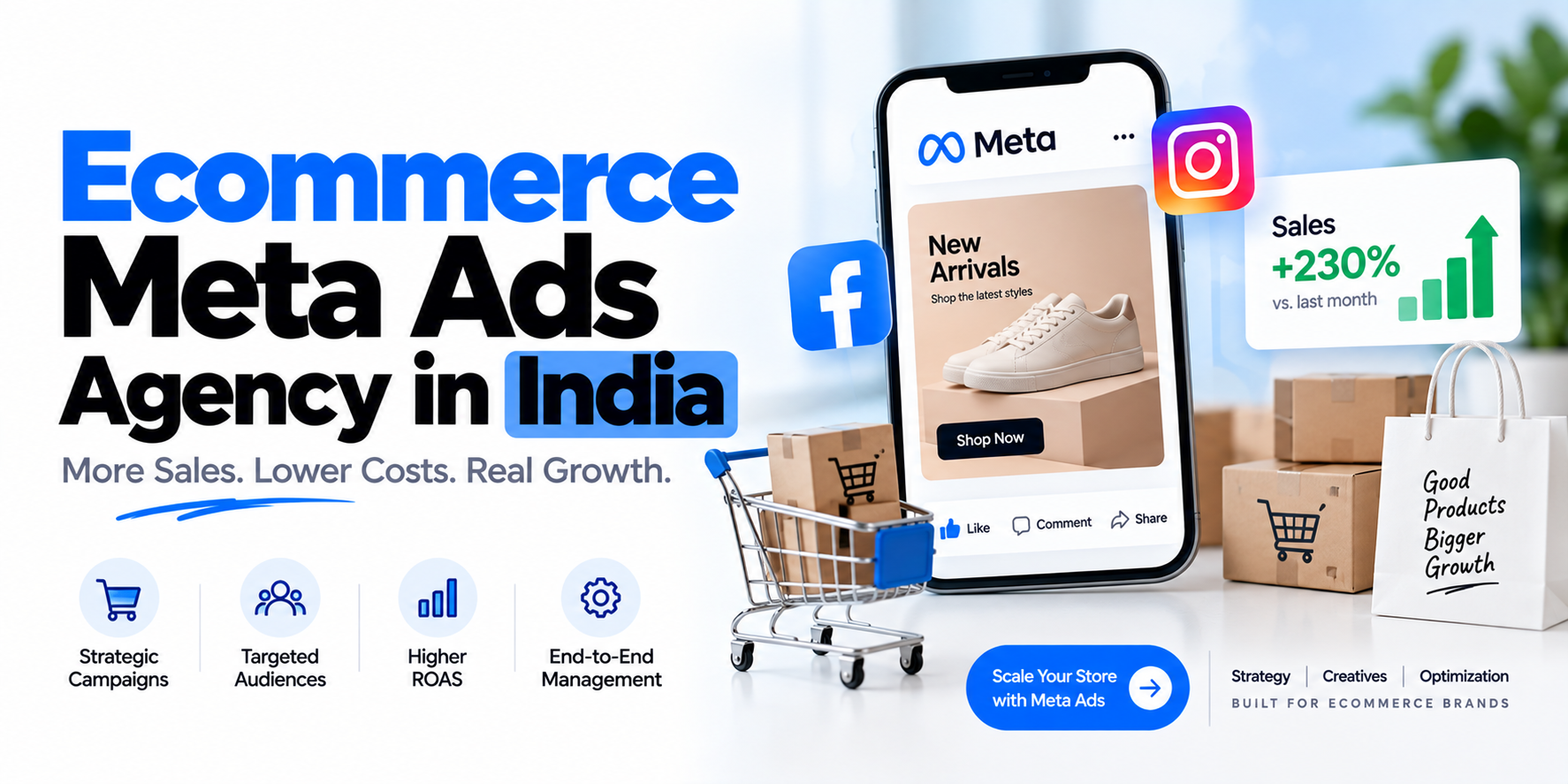 Ecommerce Meta Ads Agency in India