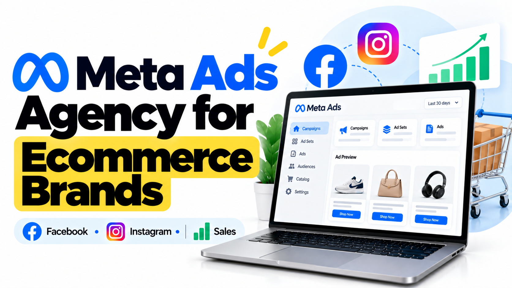 Meta Ads Agency for Ecommerce Brands